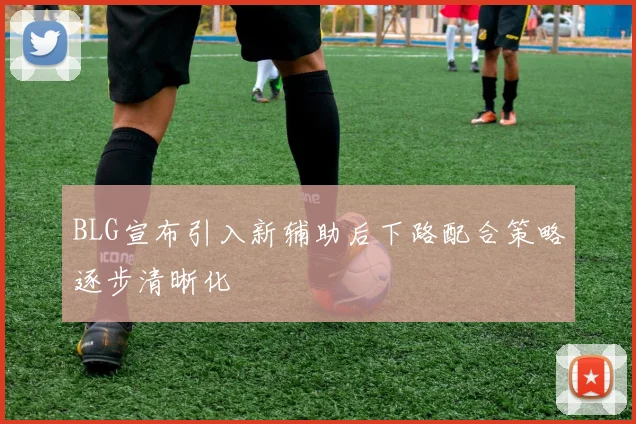 BLG宣布引入新辅助后下路配合策略逐步清晰化