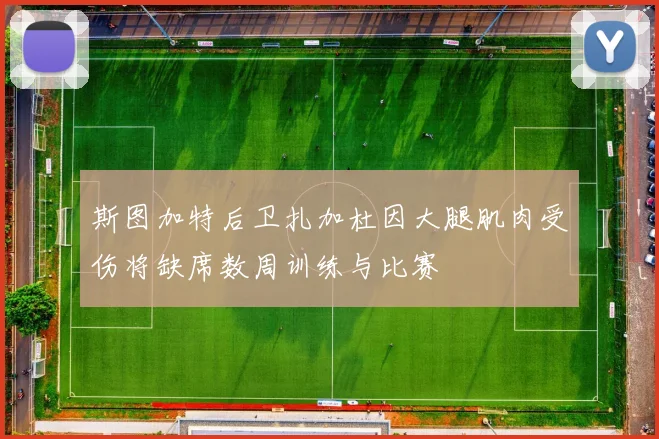 斯图加特后卫扎加杜因大腿肌肉受伤将缺席数周训练与比赛